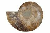 Cut & Polished Ammonite Fossil (Half) - Madagascar #212902-1